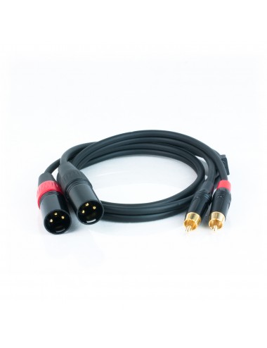 Καλώδιο 2Xlr αρσενικά σε 2Rca αρσενικά 1m Master Audio RCA930/1 - 1