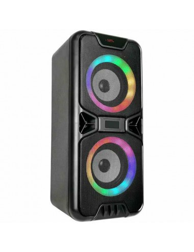 Portable speaker 2x4 'V-tac 6663 20W With Microphone - 1