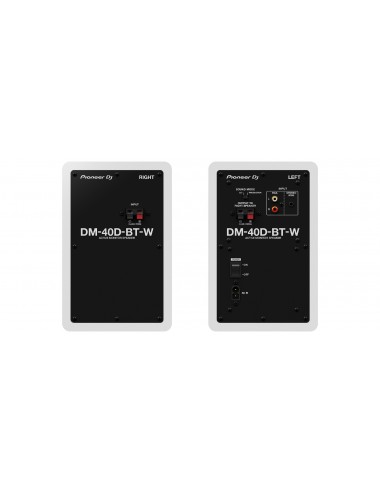 Pioneer DM-40D-BT - 1